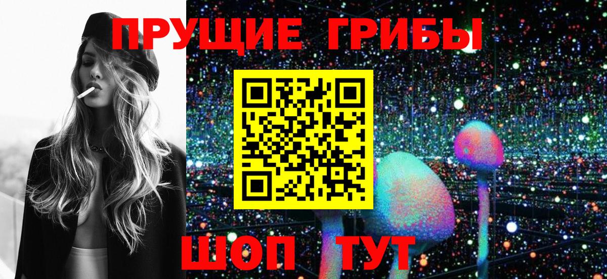 Галлюциногенные грибы Cubensis  Галлюциногенные грибы Magic Shrooms  Вход с VPN  Краснознаменск 